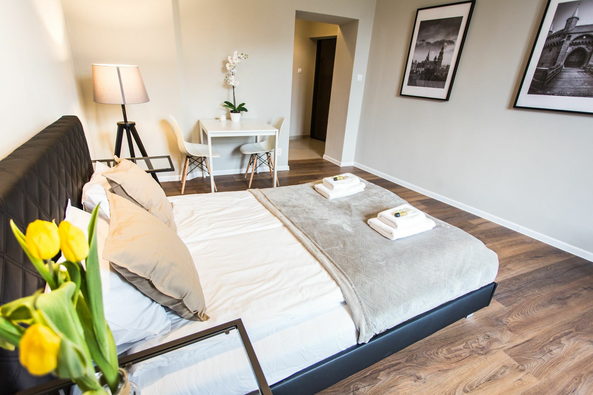 Apartament Vistula Kraków